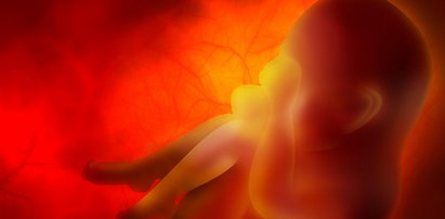 Złotów: płód ludzki w ściekach