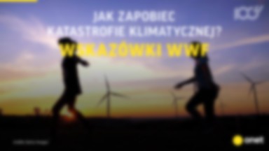 Jak zapobiec katastrofie klimatycznej? Wskazówki WWF