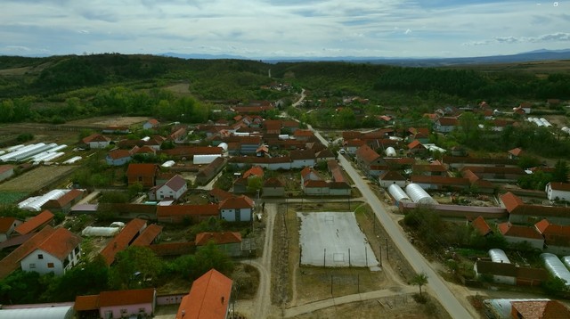 Aleksanra Mladenović kuća