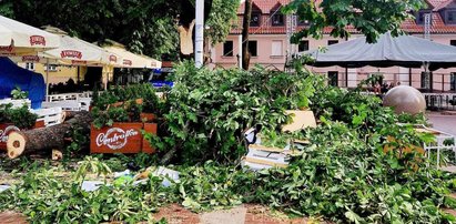 Dramat na rynku w Zamościu. Potężny konar spadł na ludzi