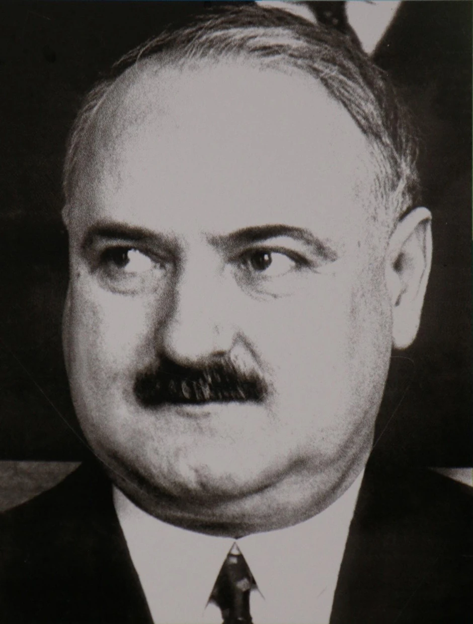 Vlada Ilić
