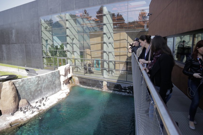 Afrykarium we wrocławskim ZOO