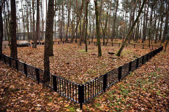 Na terenie cmentarza junikowskiego powstał Las Pamięci fot. UMP