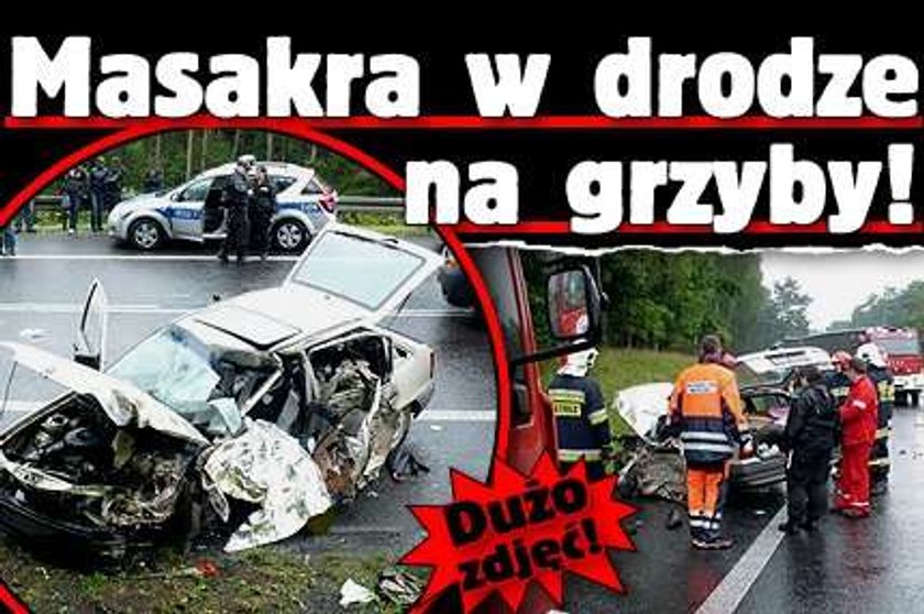 Masakra w drodze na grzyby! DUŻO ZDJĘĆ