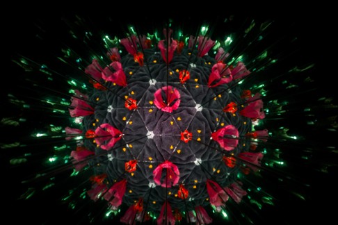 Model of Human Coronavirus particle created with kaleidoscope