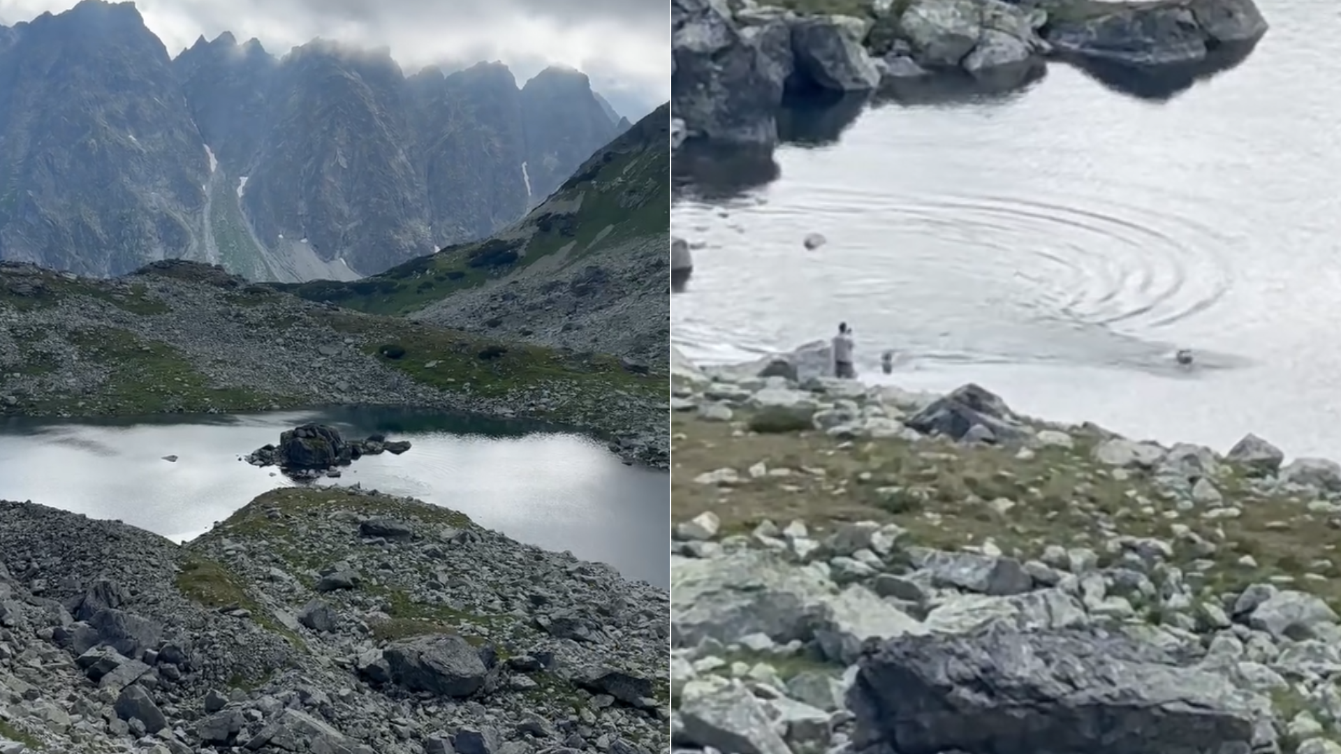 Autor videa ich prichytil priamo pri čine.