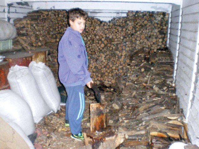 Svakog jutra dok Željko nacepa drva i naloži šporet...