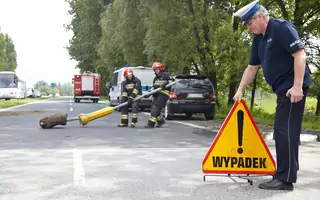 Uciekł przed czołówką! Refleks uratował kierowcę