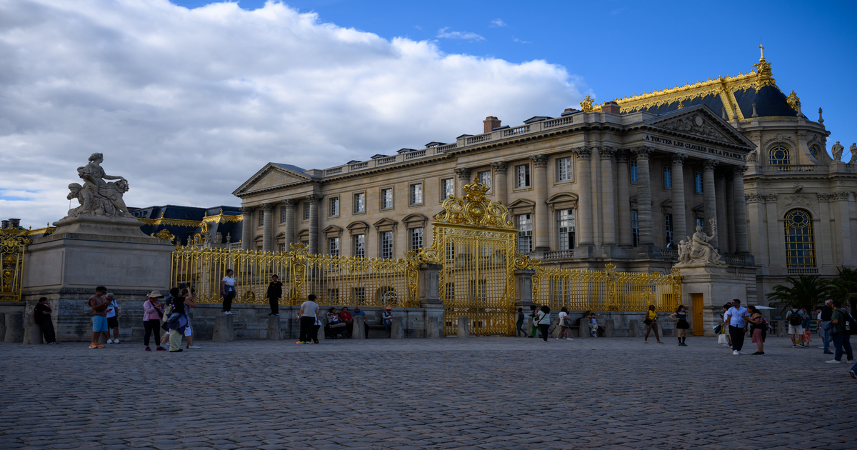 Versailles-35-pour-les-touristes-hors-UE-3-d-s-le-14-janvier