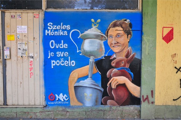 Grafit posvećen Moniki Seleš