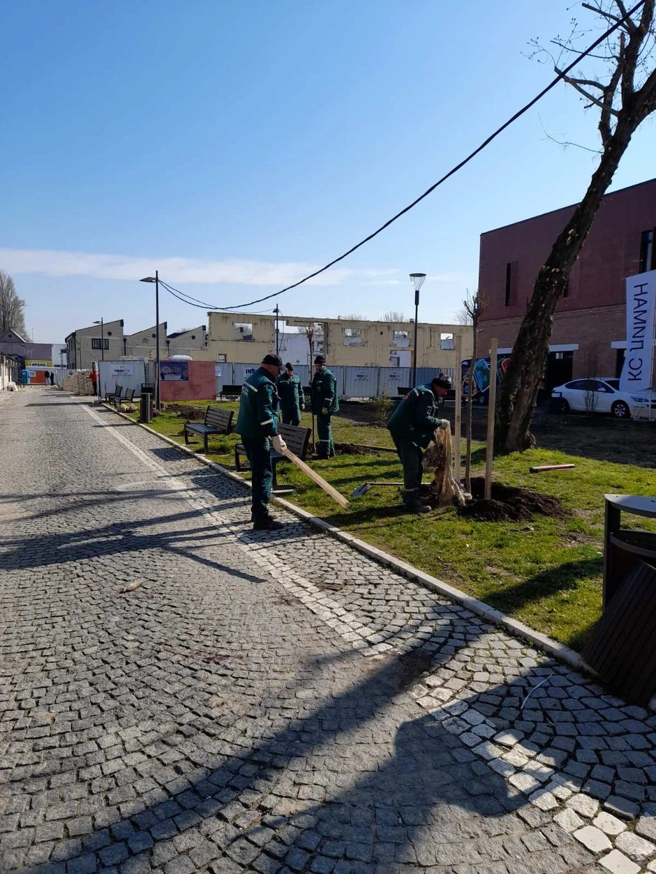 IMG-66c7b21e1e1444e689eba6f69394bb8d-V