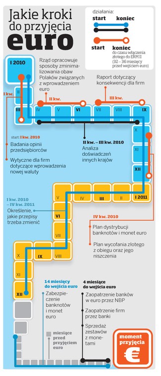 Jakie kroki do przyjęcia euro