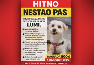 Lumi