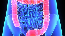 Alarmujący wzrost zachorowań na groźną chorobę jelit