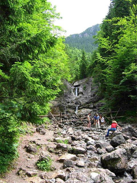 Galeria Polska - Tatry, Dolina Białego, obrazek 13