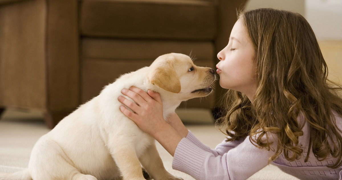 Rasa psa dla dzieci: jak wybrać, co wziąć pod uwagę? Lista, przykładowe rasy  - Dziecko