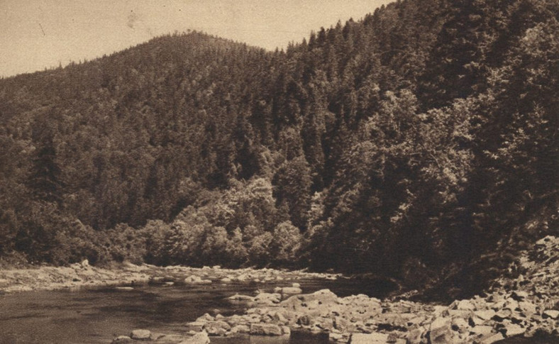 Okolice Tarnowicy Leśnej na fotografii z okresu międzywojennego