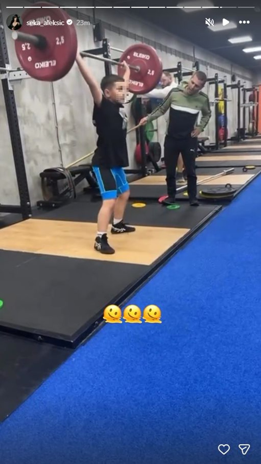 Seka Aleksić, objava