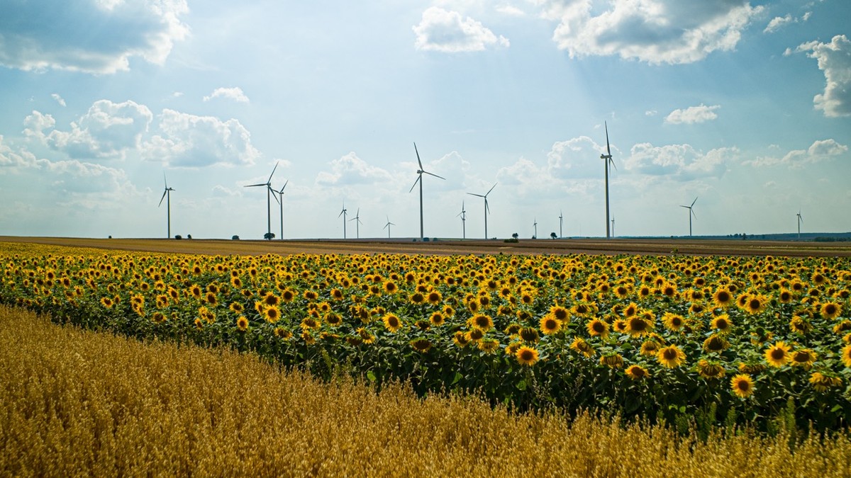 Farma Wiatrowa Bejsce zasili blisko 20 tys. gospodarstw domowych. Enea rozwija potencjał zielonej energii