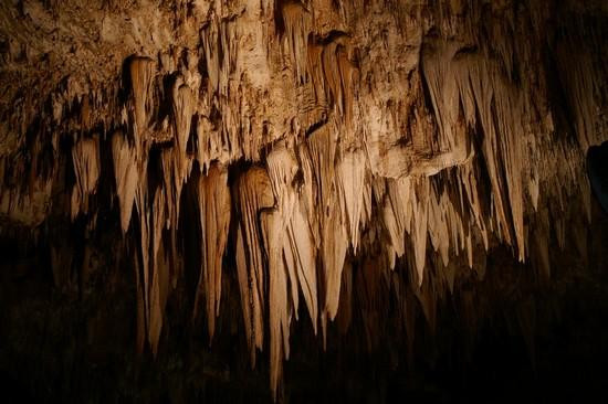 Galeria USA - Carlsbad Caverns, obrazek 11