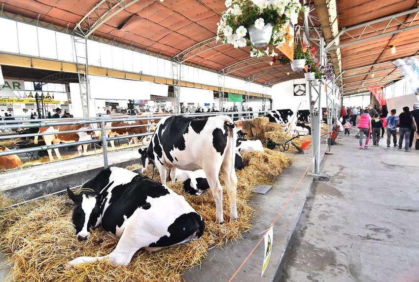 Poljoprivredni sajam