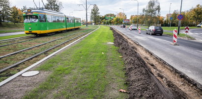 Rozryli nowy trawnik na Żegrzu