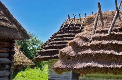 Matura 2024: Ten język zdawało w tym roku tylko troje uczniów z całej Polski