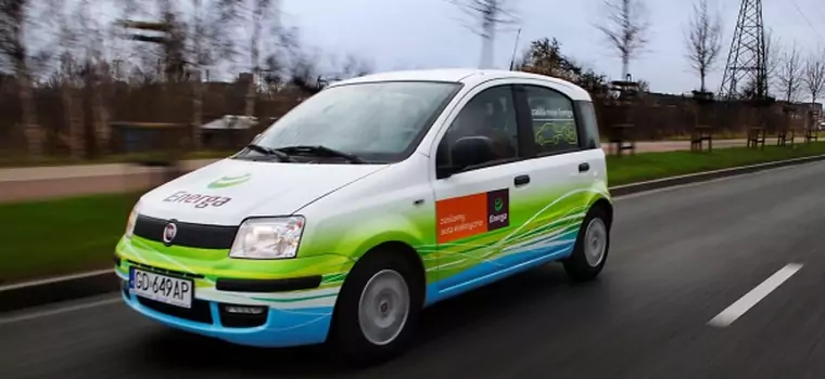 Elektryczny Fiata Panda: 2 tysiące km za 65 zł!