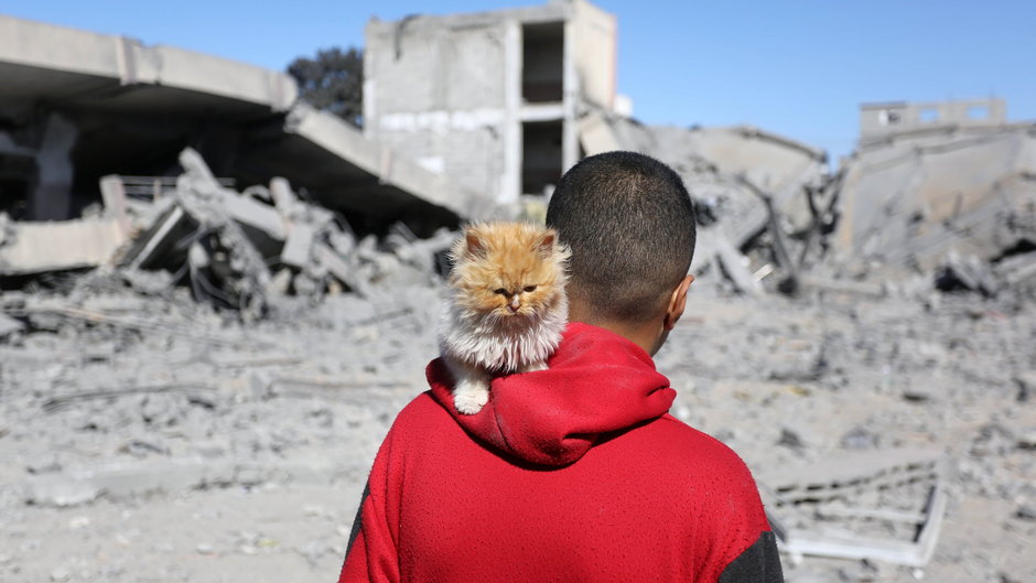 Pracownicy ONZ niosą pomoc potrzebującym w Strefie Gazy