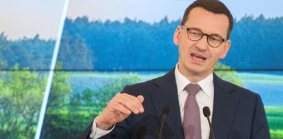 Przerzucali Morawieckiego jak gorący kartofel. To musiało być przykre