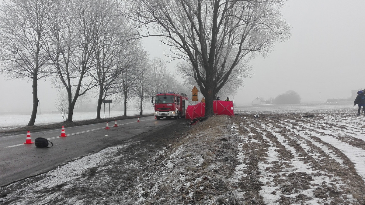 Dziś rano doszło do wypadku samochodowego w miejscowości Małki, która znajduje się 14 kilometrów od Brodnicy. Kierująca peugeotem uderzyła w drzewo na drodze krajowej numer 15. Na miejscu zginęło małe dziecko.