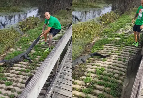 "Ty będziesz następny". Polski bokser odpowiada na zaczepki rywala z... ogonem aligatora w ręce