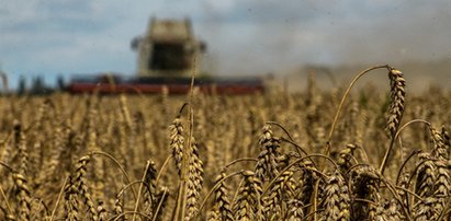 Tranzyt towarów rolnych z Ukrainy przez Polskę. Opublikowano rozporządzenie