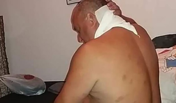 stršljen
