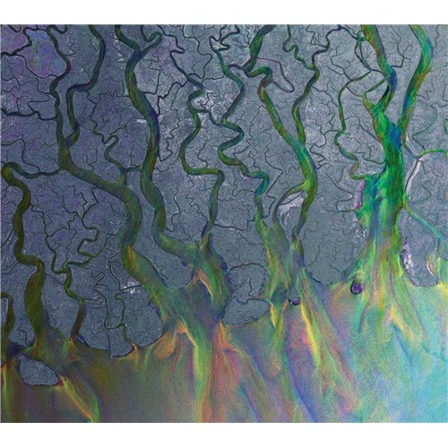 10. Alt-J – 'An Awesome Wave'
