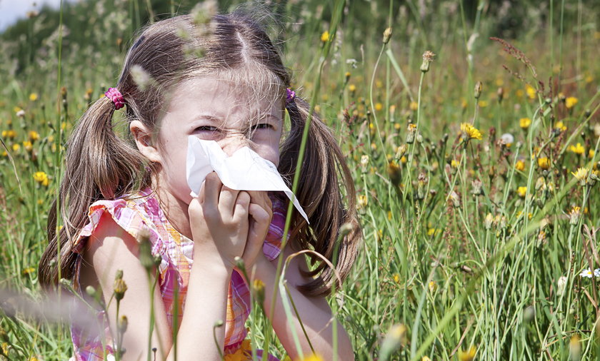 Czy można odczulać dzieci latem? Właśnie wtedy pyłki roślin wywołują u dużych i małych alergików szereg reakcji zapalnych: katar z towarzyszącym mu zapaleniem spojówek, a nawet astmę czy atopowe zapalenie skóry. 