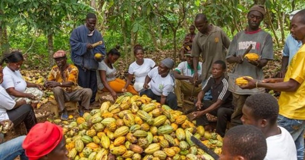 cocoa-farmers-in-ghana-to-receive-monthly-pension-payments-from-age-65