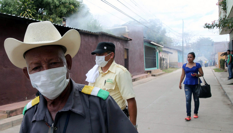 WHO przygotowuje Europejczyków na epidemię. Zika wywołał panikę, która jest całkowicie nieuzasadniona