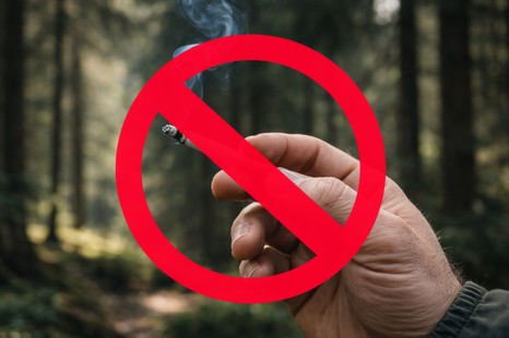 60 tys. zł – rekordowe grzywny dla palaczy papierosów. Gdzie lepiej nie palić?