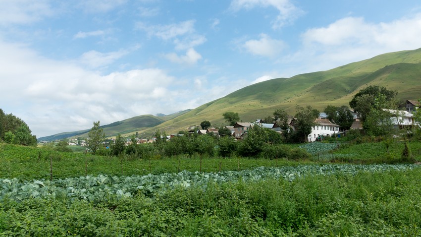  Fioletovo