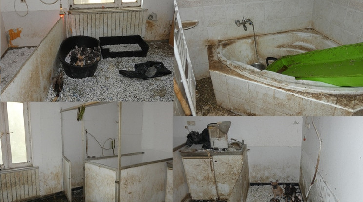 A házban borzasztó körülmények uralkodtak /Fotó: Magyarország Ügyészsége