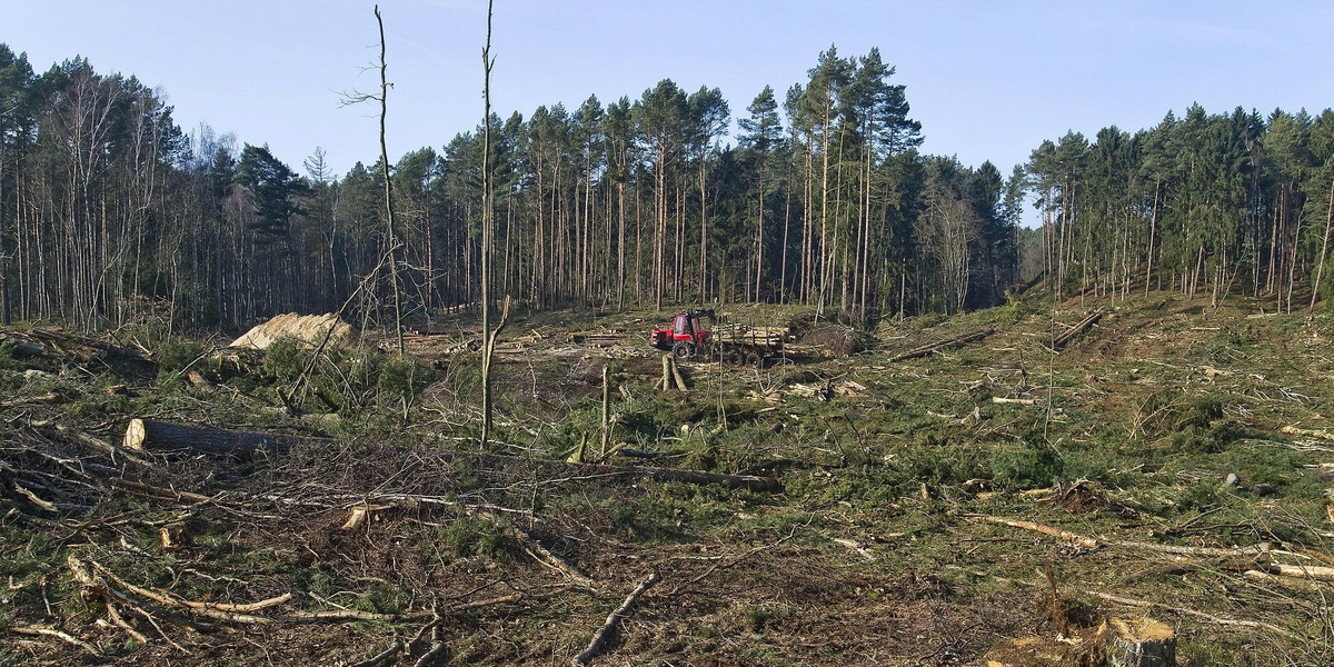 KE chce wyjaśnień ws. Mierzei Wiślanej