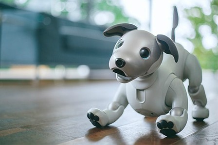 robot pies aibo