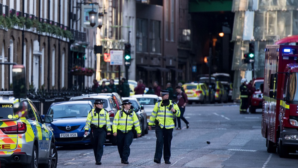 Policjanci na ulicach Londynu 