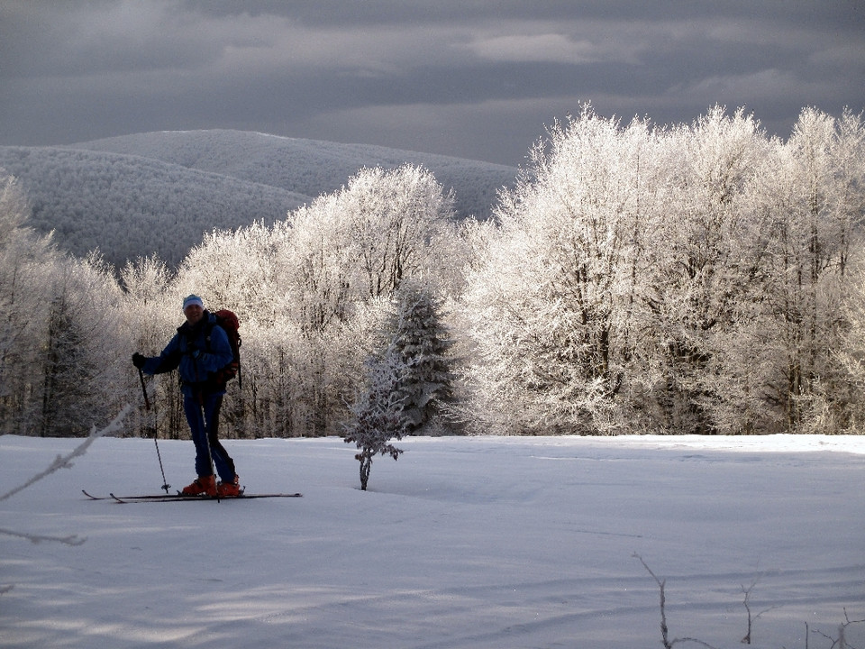 Polana pod Jawornikiem, Bieszczady