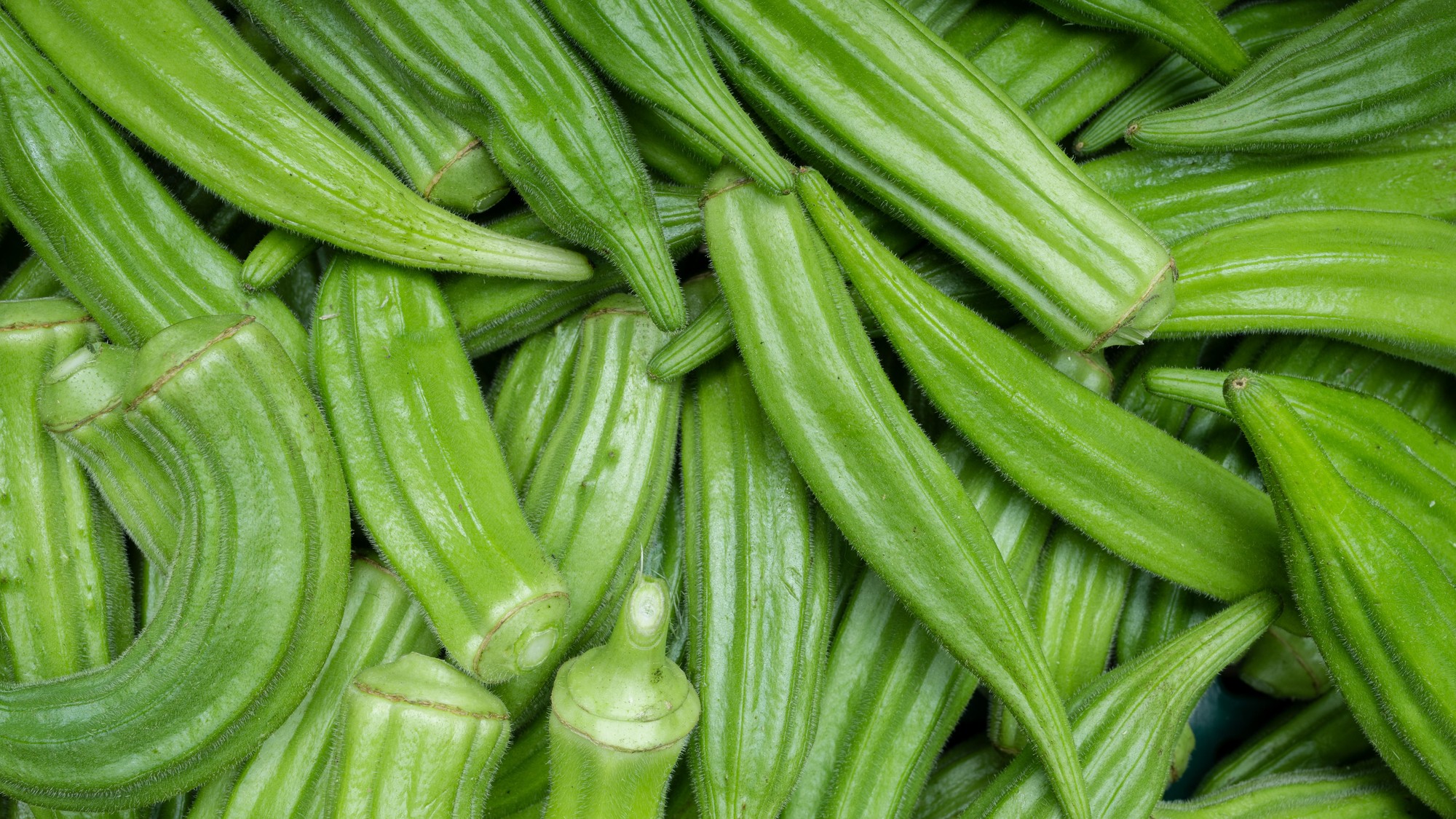 Okra.