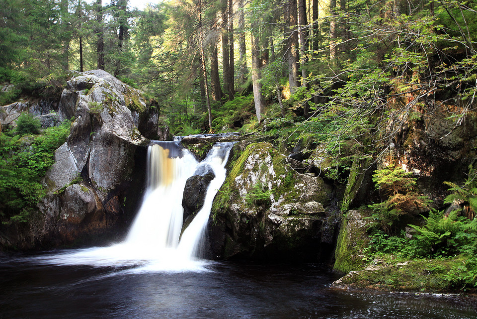 Schwarzwald, Niemcy