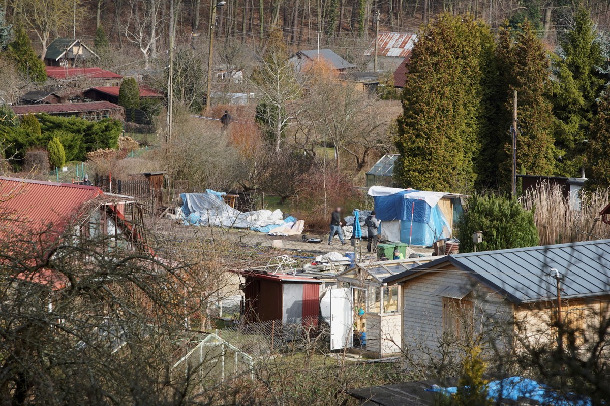 Przeszukiwania ogródków działkowych