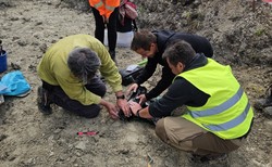 Sensacyjne odkrycie na budowie drogi S17. Ma ponad 20 000 lat