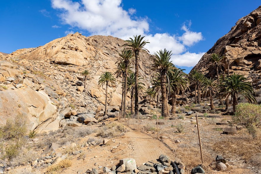 Fuerteventura